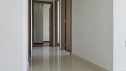 the-palette photo thumbnail #4